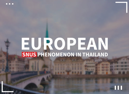 A Comprehensive Exploration of the European Snus Phenomenon in Thailand